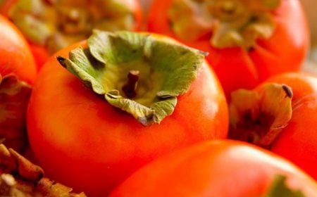 Quả hồng, quả thị cực tốt nhưng cần ăn đúng cách